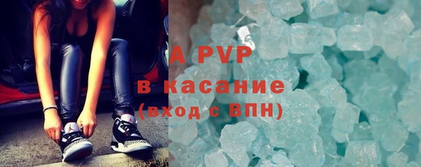 прущие грибы Волоколамск
