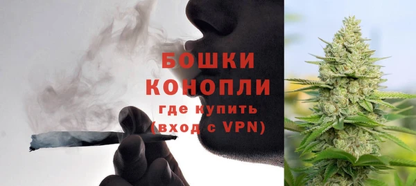 прущие грибы Волоколамск