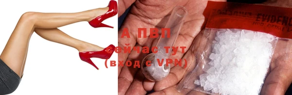 стаф Володарск