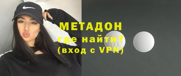 прущие грибы Волоколамск