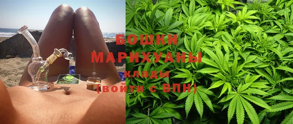 стаф Володарск