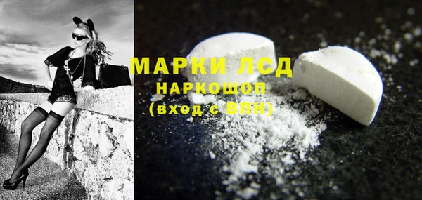 прущие грибы Волоколамск