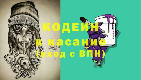 прущие грибы Волоколамск