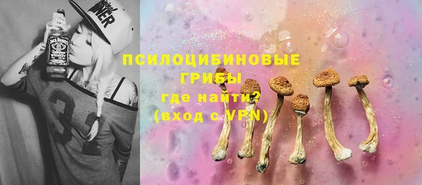 прущие грибы Волоколамск