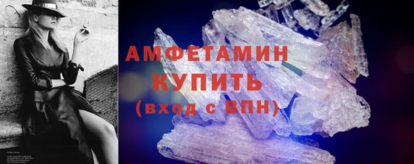 прущие грибы Волоколамск