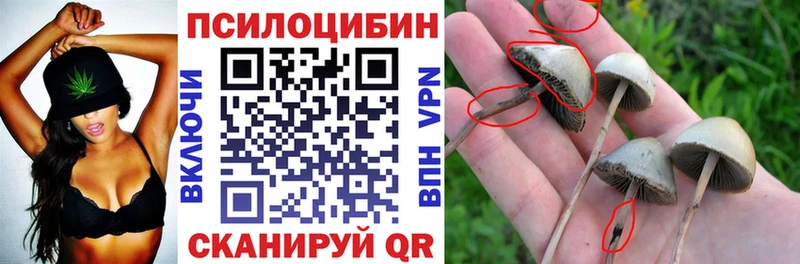 Псилоцибиновые грибы GOLDEN TEACHER  Катав-Ивановск 